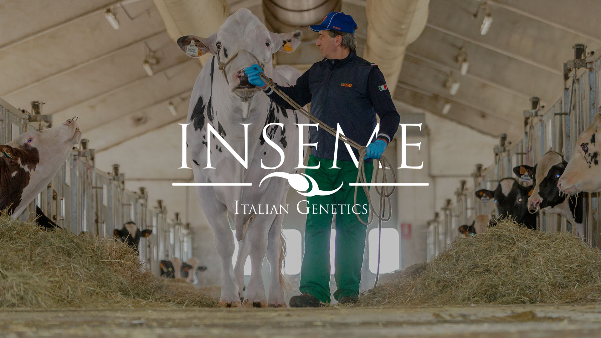 copertina-inseme
