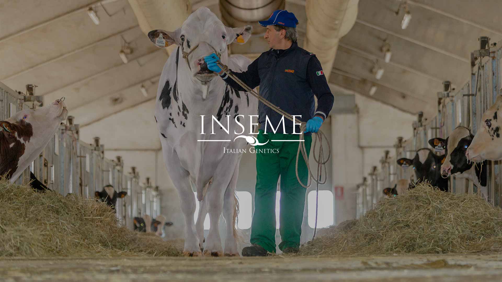 copertina-inseme1