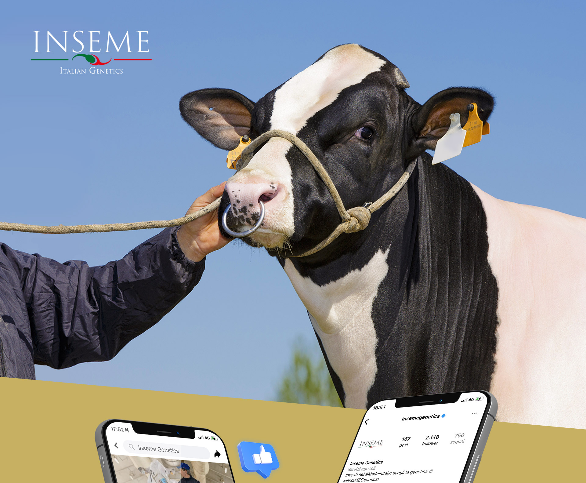 inseme-mockup_01